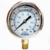 Gauge Pressure 100psi Wet
