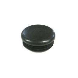 Plug Plastic 2"