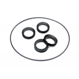 Pump Walkover Plstc, Seal Repair Kit W2042
