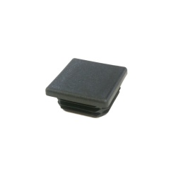 Plug Plastic 2"