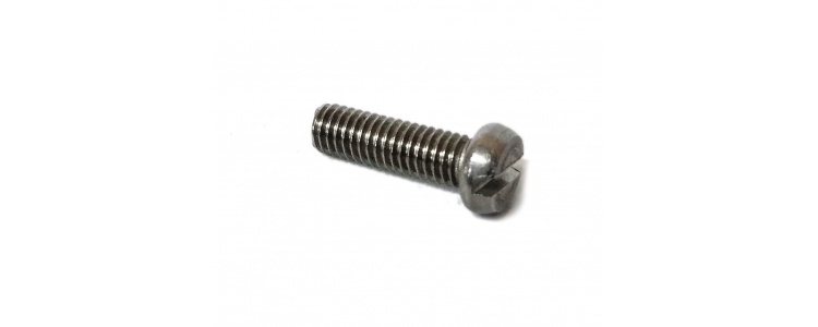 Screw M6-1.0x20mm Cheese, SS Screw M6-1.0x20mm Cheese, SS