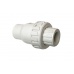 Valve Check Poly 3/4FPT