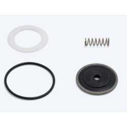 Repair Kit Seal Viton TR 2500