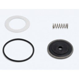 Repair Kit Seal Viton TR 2500