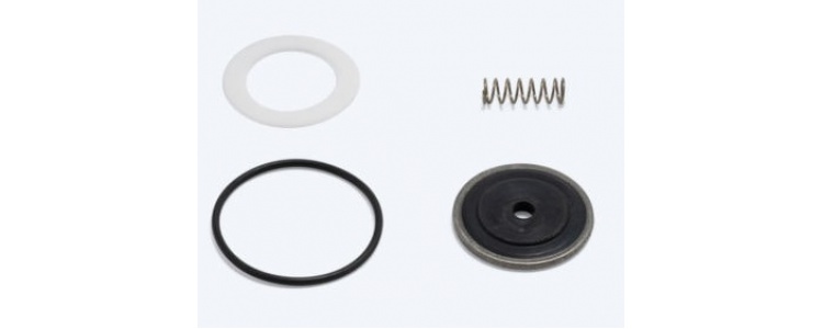 Repair Kit Seal Viton TR 2500