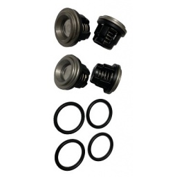 Repair AR30 Valve Kit