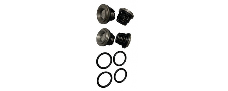 Repair AR30 Valve Kit Repair AR30 Valve Kit