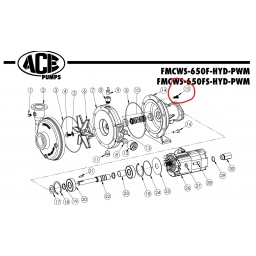 Ace Pumps,CAP SCREW, HEX HD 3/8, BAC-42 Ace Pumps,CAP SCREW, HEX HD 3/8, BAC-42
