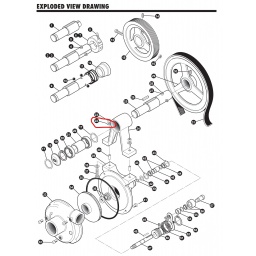 Ace Pumps, Washer, 3/8” locking