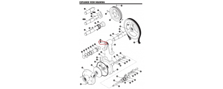 Ace Pumps, Washer, 3/8” locking