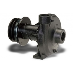 Ace Pumps,PUMP, 1.5 Ace Pumps,PUMP, 1.5