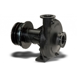 Ace Pumps,PUMP, 1.5 Ace Pumps,PUMP, 1.5