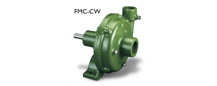 Ace Pumps,PUMP, 1.25