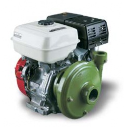 Ace Pumps,PUMP, GAS ENGINE,GE-800-HONDA Ace Pumps,PUMP, GAS ENGINE,GE-800-HONDA