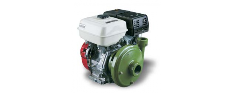 Ace Pumps,PUMP ONLY, 2