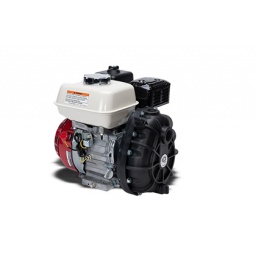 Ace Pumps,PUMP, GAS ENGINE, 3/4