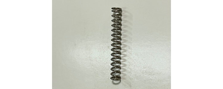 Spraying System,Teejet, SPRING 302SS,#31,CP9134-302SS